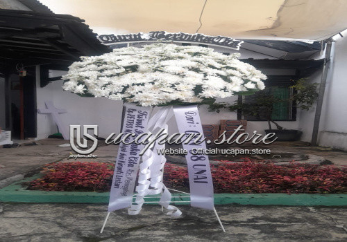IMG-PRODUCT