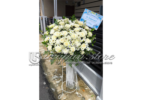 IMG-PRODUCT